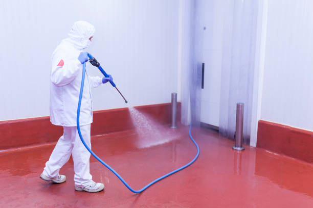 Best Boat and Dock Cleaning  in Vilonia, AR